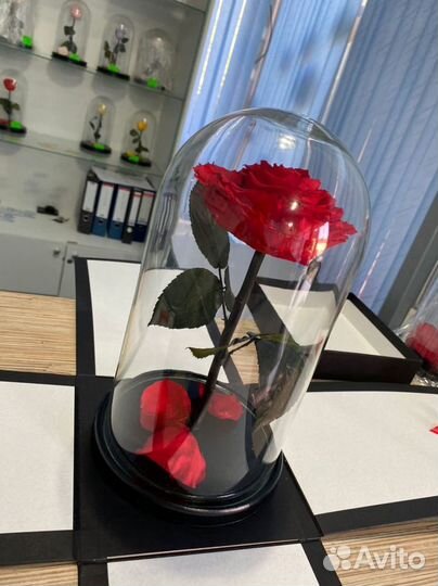 Подарок на любой день, роза в колбе VIP