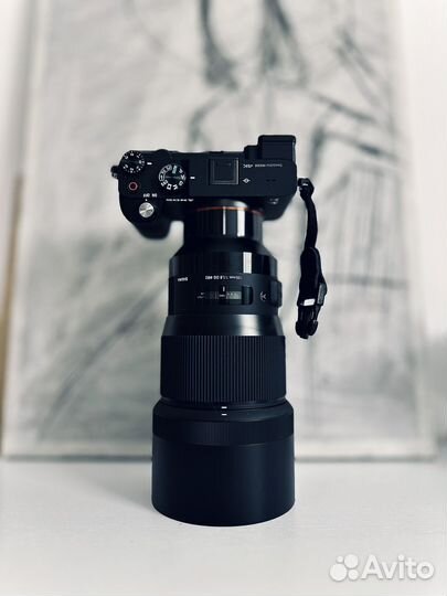 Полнокадроый беззеркальный Sony a7c