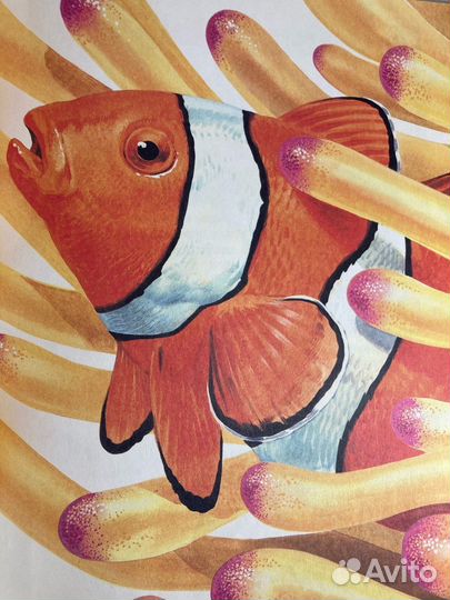 Книга «Тайны живого мира. Животные защищаются»