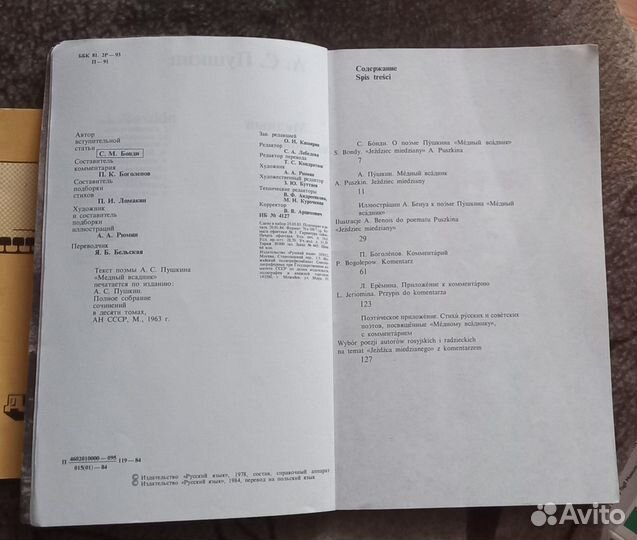 Медный всадник А.С.Пушкин