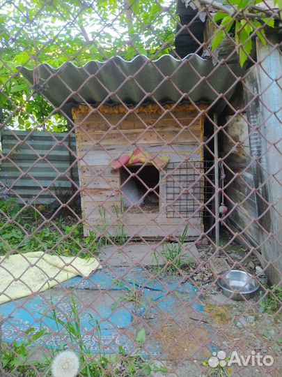 Будка для собаки утепленная бесплатно