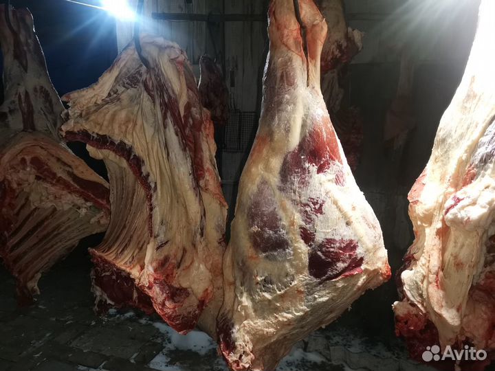 Продам мясо телятина деревенская)