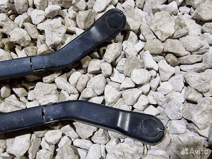 Поводок Мерива