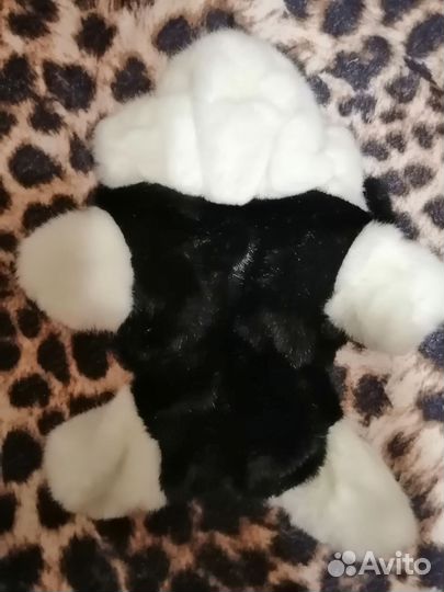 Одежда для собак мелких пород