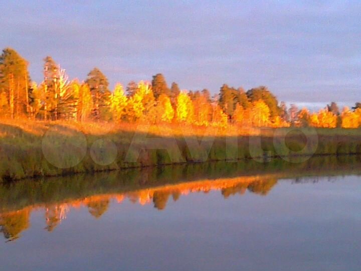 Участок 11,3 га (СНТ, ДНП)