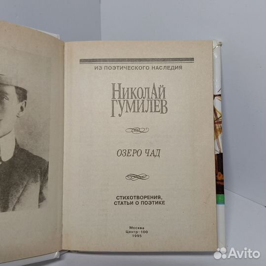 Озеро Чад. Н. Гумилев