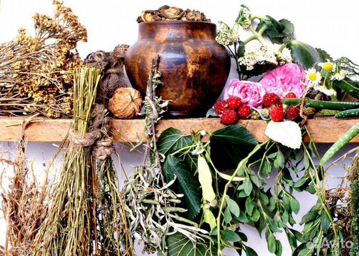 Травный сбор при экземе