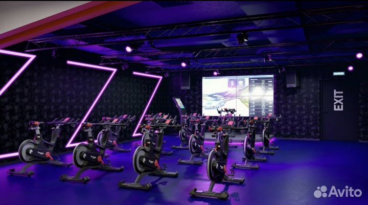 Зебра абонемент в зал (1 год)