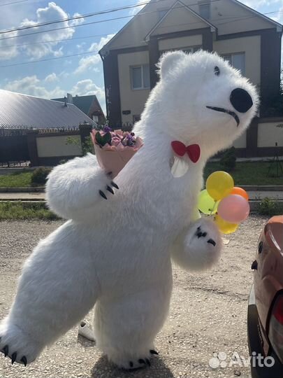 Белый Мишка поздравление