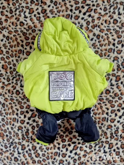 Одежда для собак (мини той терьер)