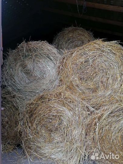 Сено в тюках, Вика-овсяная смесь