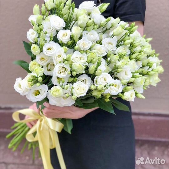 Цветы эустома