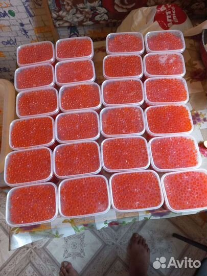 Красная икра и молосольная рыба в вакуме 2023