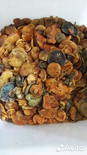 Рыжики солёные