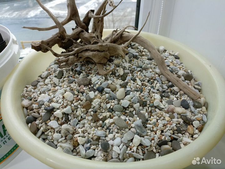Грунт для аквариума