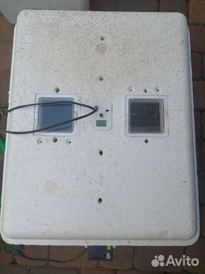 Инкубатор несушка на 36 и 77 яиц