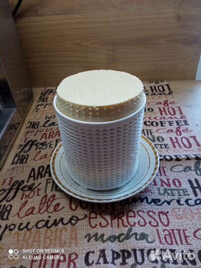 Сыр домашний козий