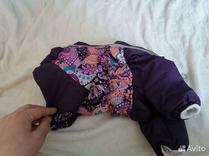 Одежда для собаки