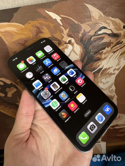 iPhone 12 Pro Max, 256 ГБ