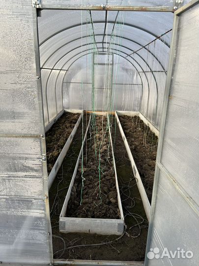 Теплица поликарбонат бу