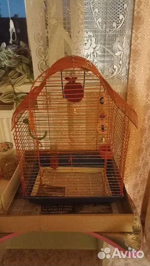 Клетка для попугая