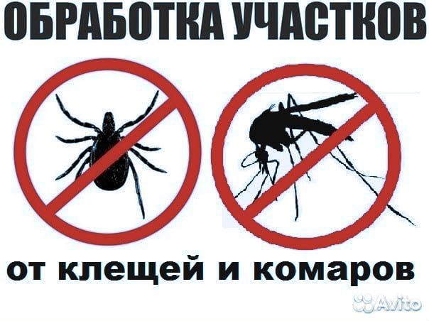 Обработка от клопов, клещей, кротов, комаров, крыс