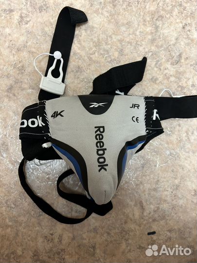 Ракушка хоккейная