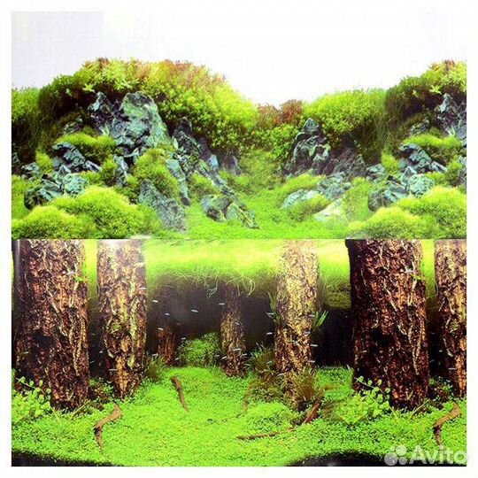 Фон. Обои для аквариума. Задняя картинка. Декор