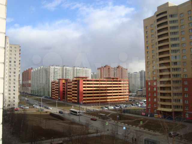 жк бадаева 8. тсж бадаева 8. фото комплекса бадаева 8. тсж бадаева 8. празднование масленицы.