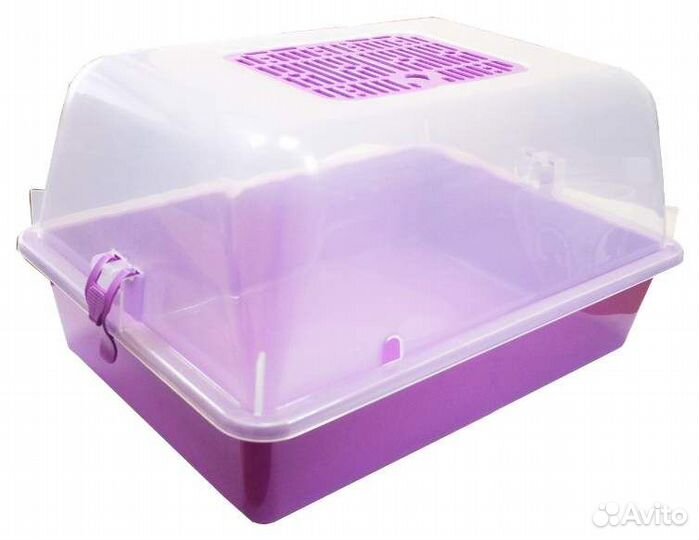 Черепаха сухопутная