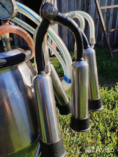 Доильный аппарат для коров бу