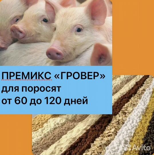 Премикс гровер для свиней