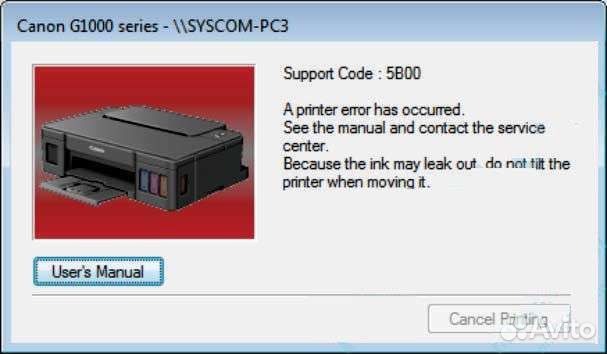 Сброс ошибки 5B00 принтера Canon (ошибка памперса)