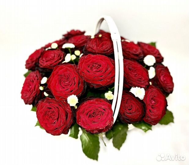Красные розы 11 21 31 41 51