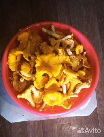 Клюква свежая