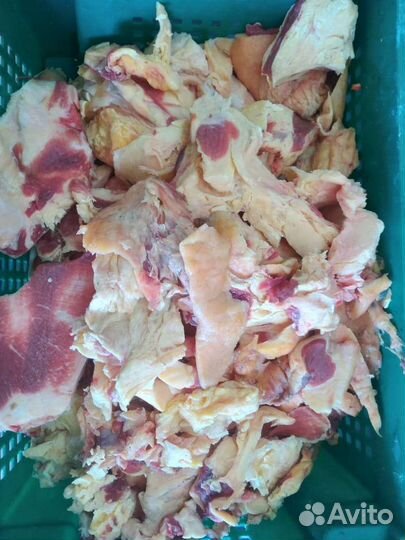 Жир говяжий и бараний- корпусной и внутренний