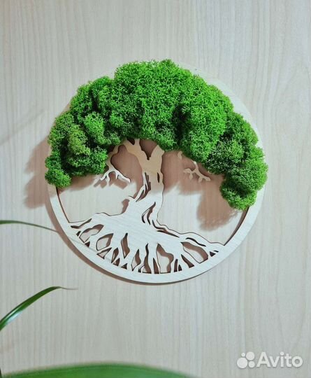 Деревянное панно со мхом