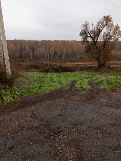 Участок 50 сот. (ИЖС)