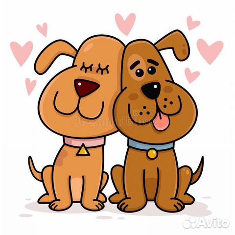 Вязка собак инструктор