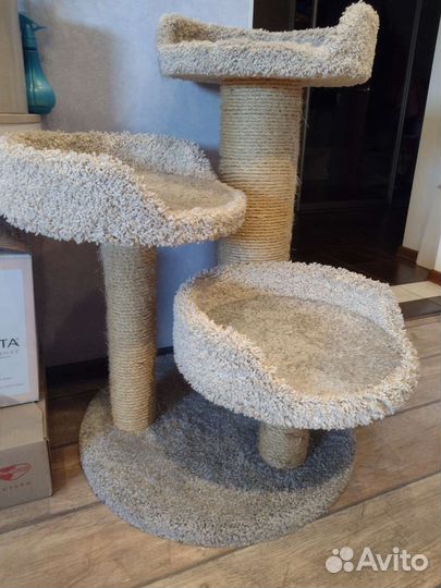 Когтеточка