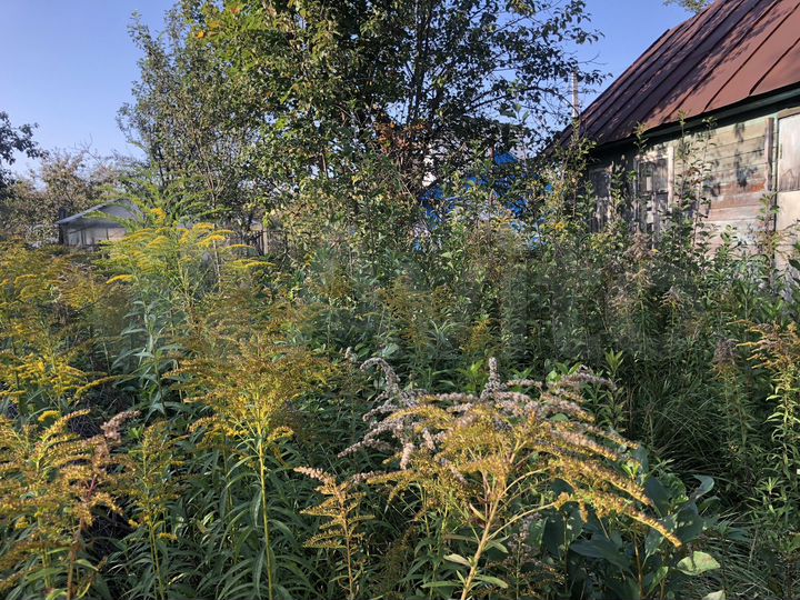 Участок 6 сот. (СНТ, ДНП)