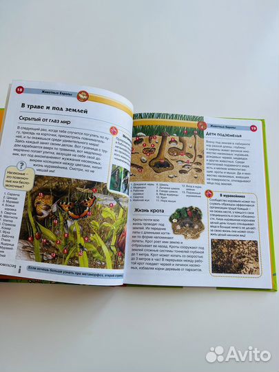 Детская энциклопедия