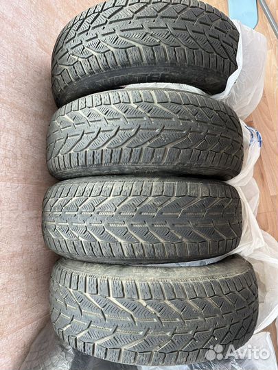 Tigar Winter 215/60 R17 96H