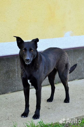 Хотим домой