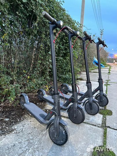 Самокат Xiaomi m365