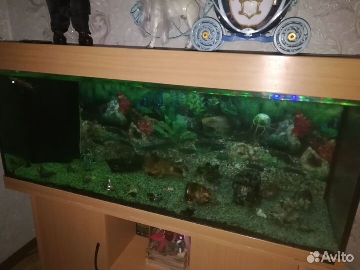 Аквариум с тумбой бу