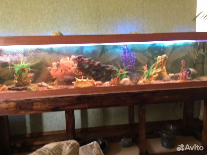 Аквариум босу в кабинет 520л равных нет