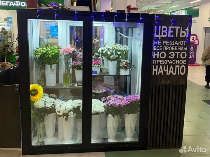 Холодильная Камера Для Цветы Напольная Москва