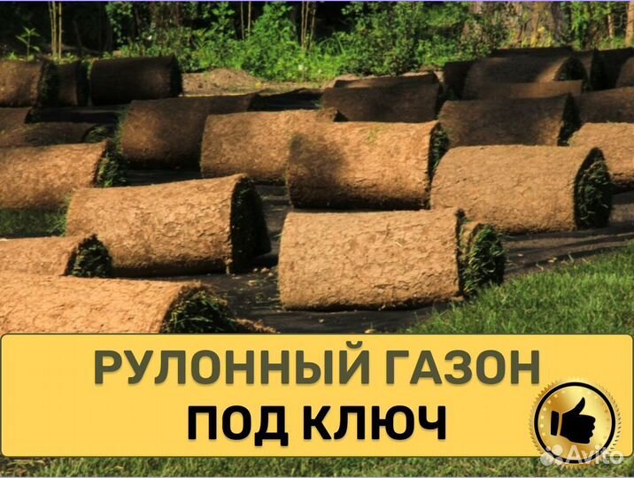 Рулонный газон под ключ Элитный