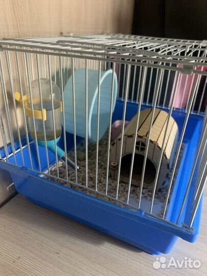 Джунгарский хомяк с клеткой